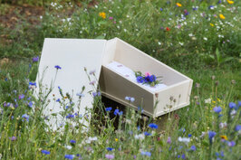 Kistje groot - Blauw